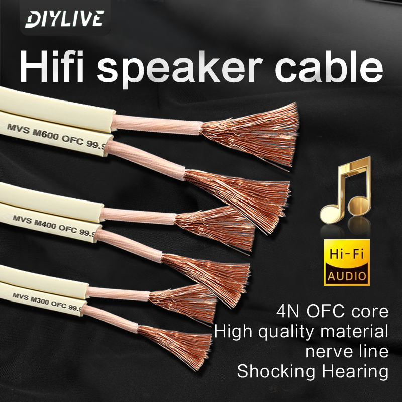 كابل صوت HIFI من DIYLIVE للسين - مراجعة Home Cinema Xlr وسعره