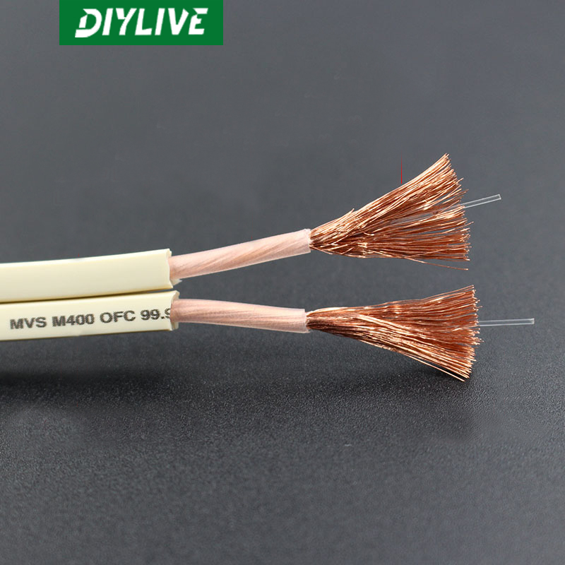 كابل صوت HIFI من DIYLIVE للسين - مراجعة Home Cinema Xlr وسعره